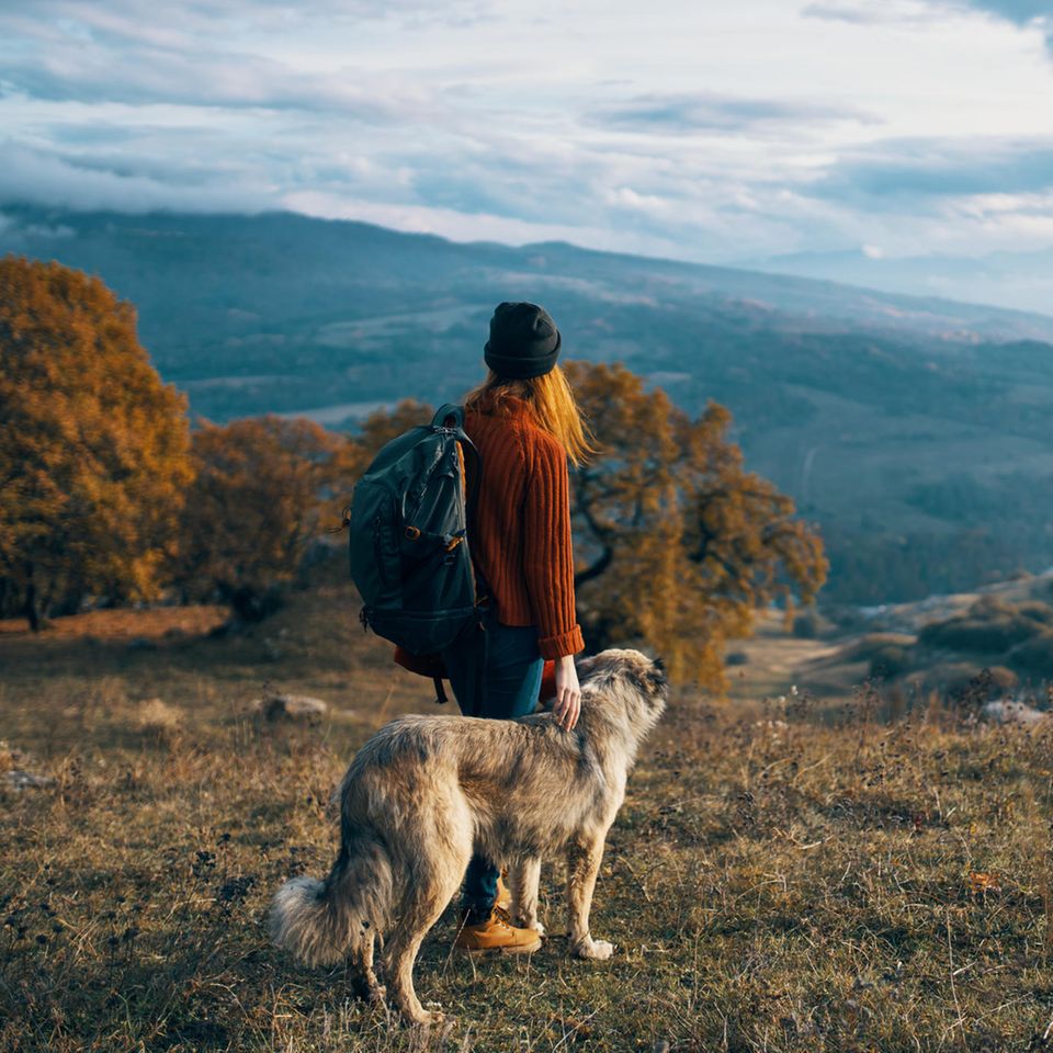 Psychologie: 5 unscheinbare Verhaltensweisen, die Traumareaktionen sein können Psychologie: Eine Frau mit einem Hund