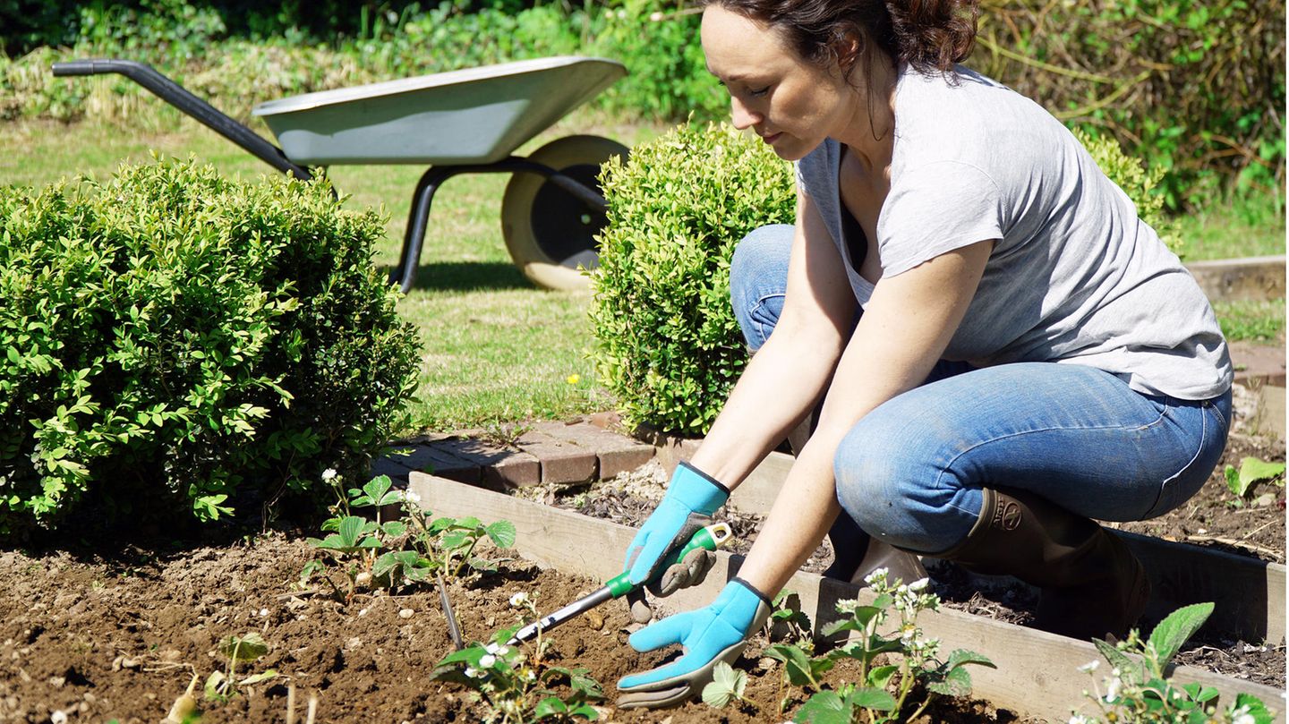 Outdoor-Saison 2026: 3 Dinge, die du am besten sofort aus dem Garten werfen solltest