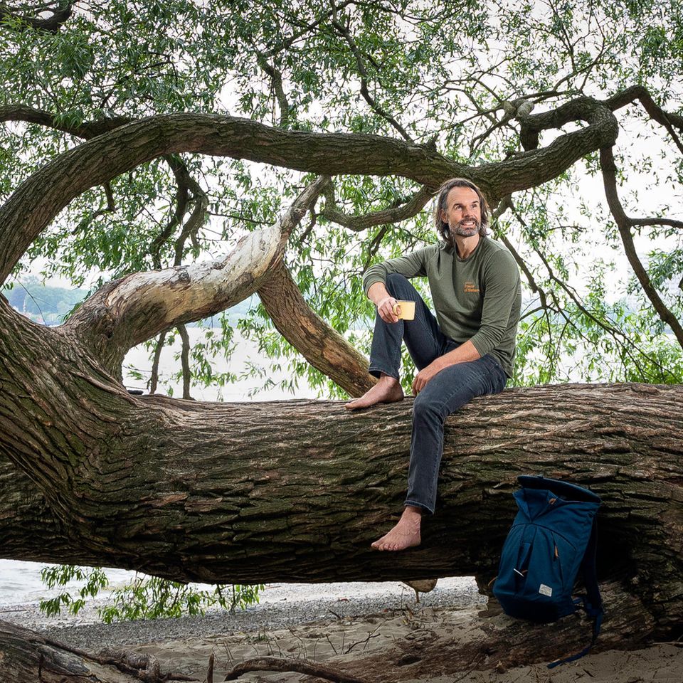 Christo Foerster auf einem Baum sitzen