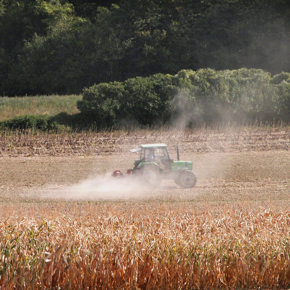 Bauer eggt ein trockenes Feld nach der Ernte