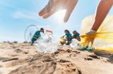 Beach Cleanups: Müll wird vom Strand eingesammelt