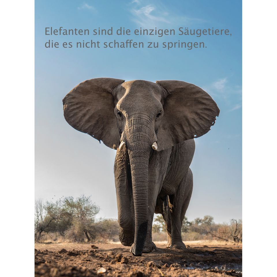 Cuisinière Miniatures Poupées AGA Crème Non Fonctionnelle - 1:12 - Parfaite Pour Déco Maison De Poupée