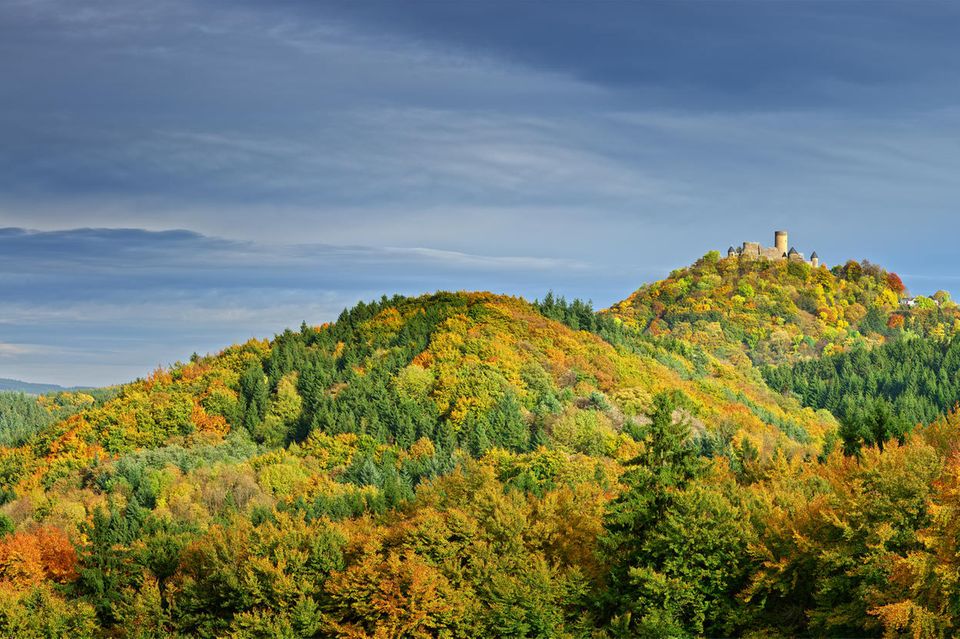 Wandern in Deutschland: Eifel