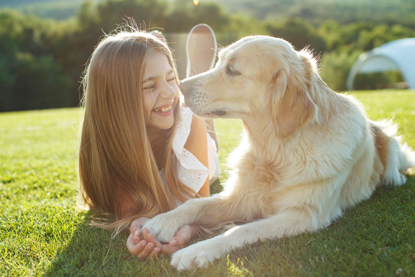 Das Kuschelhormon macht es möglich: Hunde können Glückstränen weinen