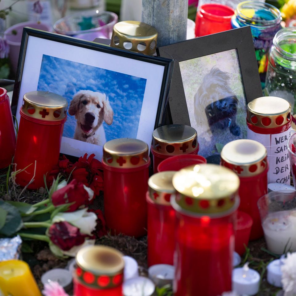 Eine Gedenkstätte der verstorbenen Hunde auf der Hundewiese in Frankfurt.