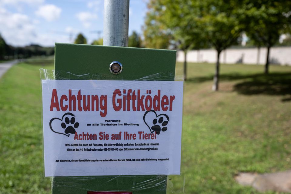 Attack on dog park: Poison bait: At least 11 dogs affected – 7 have already died