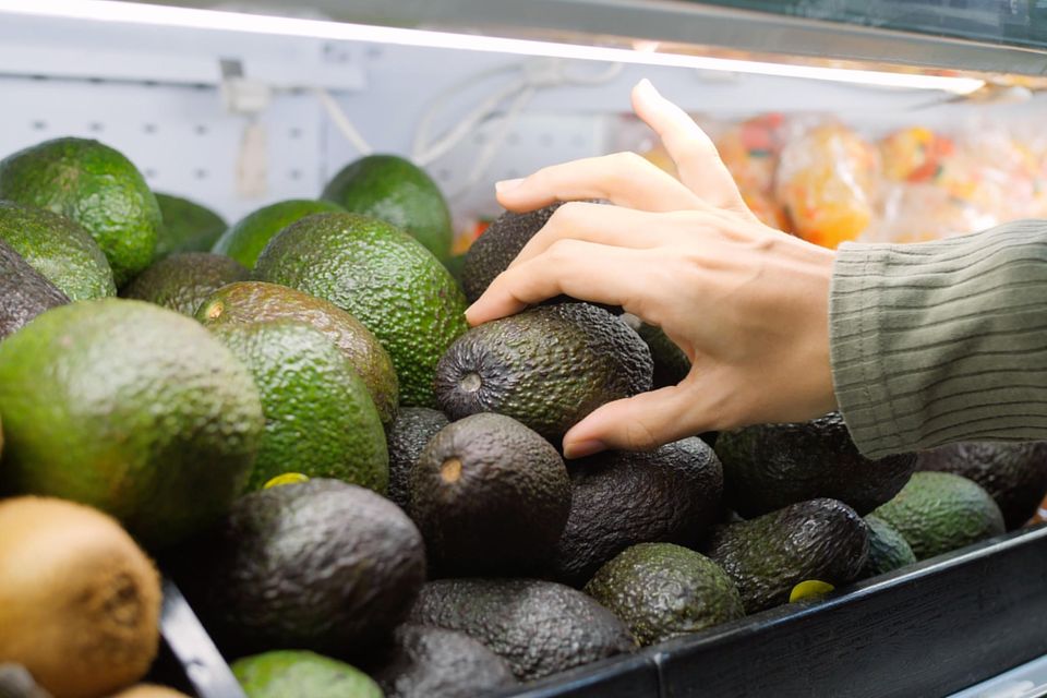 Avocado finden