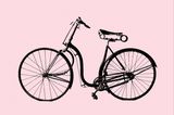 1889 wurde ein Fahrrad mit dem Namen "Safety Bicycle"  auf den Markt gebracht. Für die Frauen zu der Zeit ein Meilenstein in der Emanzipation. Mit dem “Sicherheitsniederrad“, dessen Silhouette an das heute bekannte Hollandrad erinnert, konnten Frauen sich allein fortbewegen. Sie waren nun nicht mehr abhängig von einem Mann, der eine Pferdekutsche lenkte. Frauen zusehen, die allein auf einem Rad durch die Gegend düsten, war etwas komplett Neues. Üblicherweise verbrachten sie ihre Zeit zu Hause oder in einem Kaufhaus.