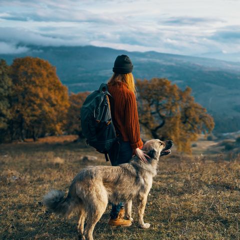 Psychologie: Eine Frau mit Hund auf einem Berg