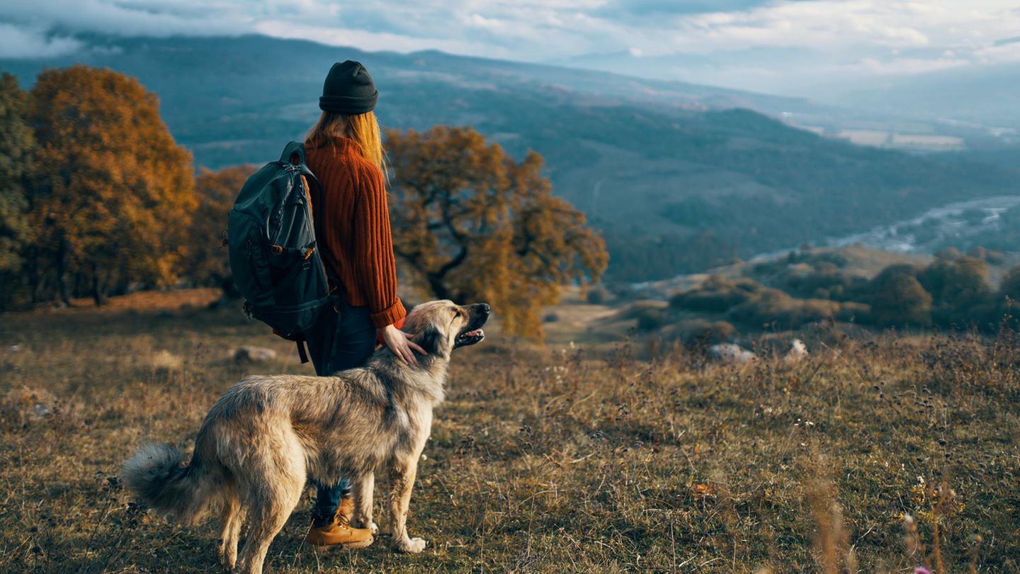 Psychologin-verr-t-5-Geheimnisse-von-Menschen-die-gen-gend-Selbstmitgef-hl-haben