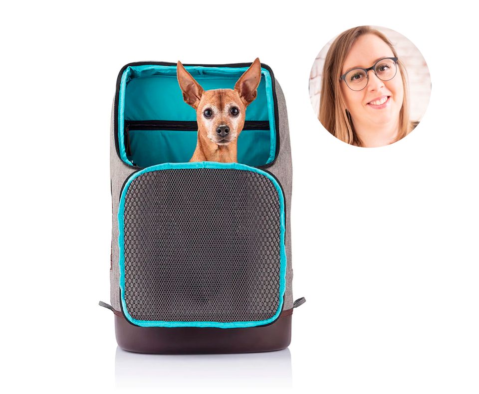 We try before you buy: Der K9 Hunde-Rucksack von Kurgo. Der K9 Hunde-Rucksack von Kurgo.