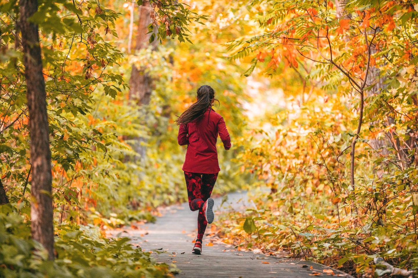Brigitte Teamtalk: Frau ist joggen im Wald
