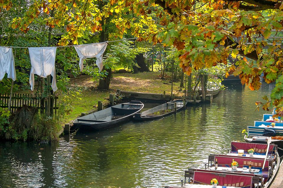 Goldener Oktober: Spreewald Goldener Oktober: Spreewald