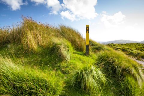 Beara Way Wandern in Irland BRIGITTE.de