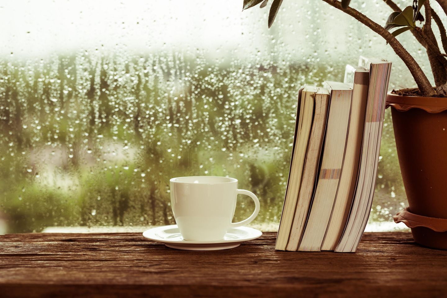 Regen vor dem Fenster mit Büchern: 5 düstere Bücher, die perfekt für den Herbst sind
