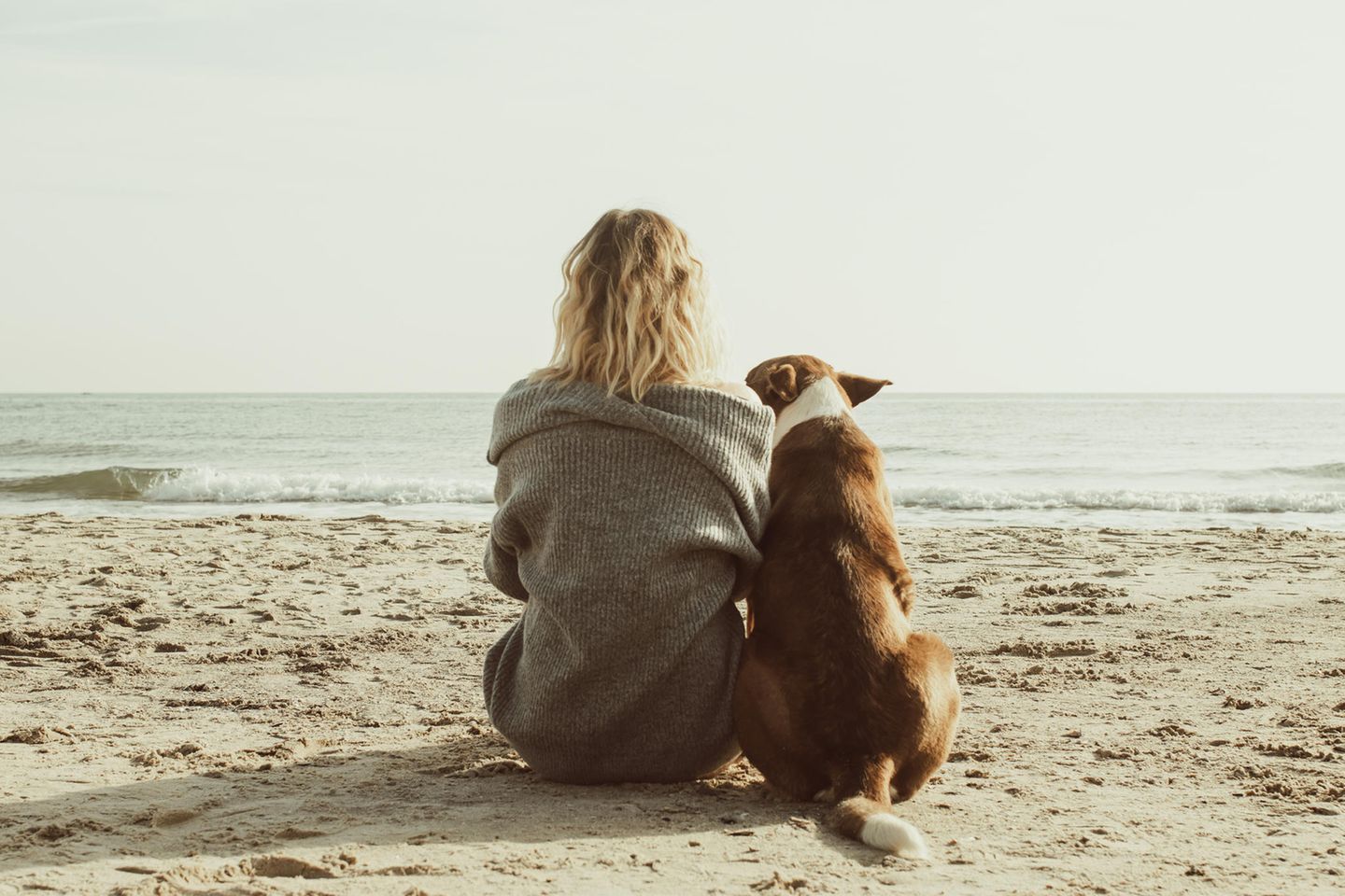 Frau mit Hund am Strand: Hat die Corona-Pandemie unsere Persönlichkeit verändert?