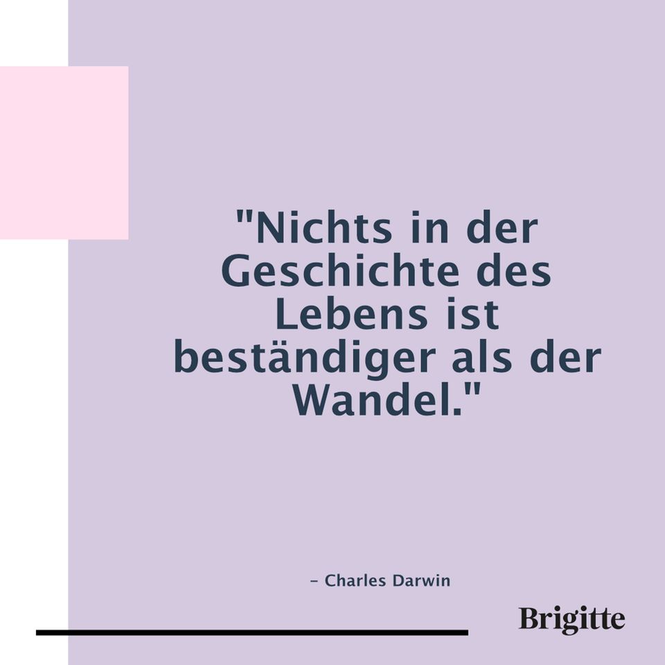 Sprüche 20 Zitate, die Mut für einen Neuanfang machen BRIGITTE.de