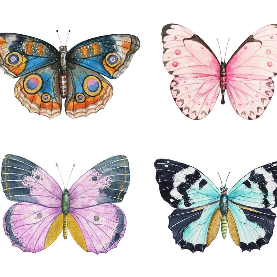 Entscheide dich für einen Schmetterling und erfahre eine verstecke Seite deiner Persönlichkeit