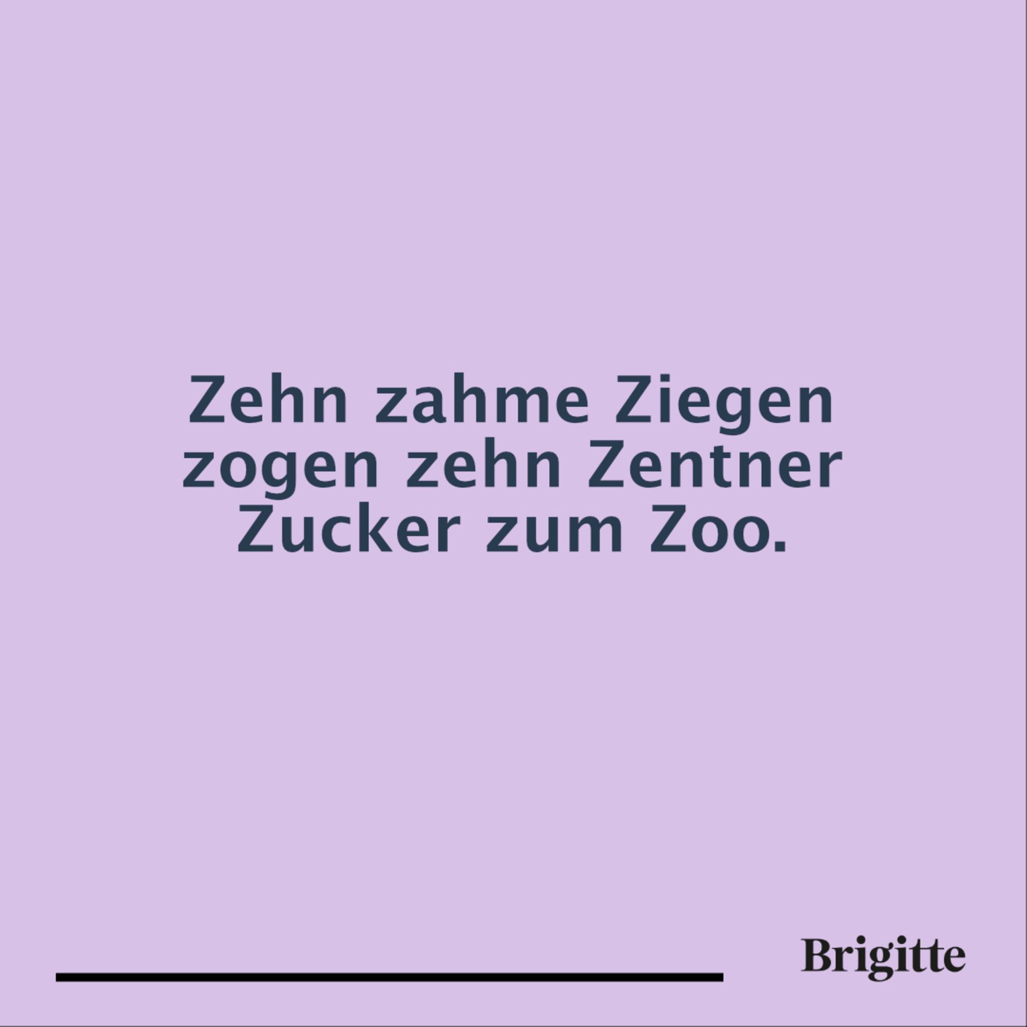 Tag des Zungenbrechers Gehen dir diese Sprüche problemlos über die