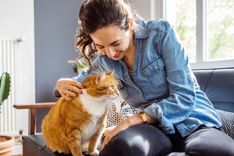 Katzen für Allergiker: Eine Frau streichelt eine Katze.
