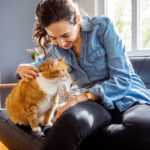 Katzen für Allergiker: Eine Frau streichelt eine Katze.