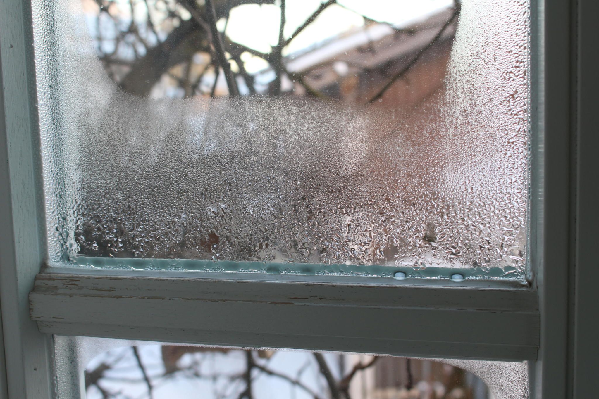 Kondenswasser: Fenster innen beschlagen - was tun & wie vermeiden