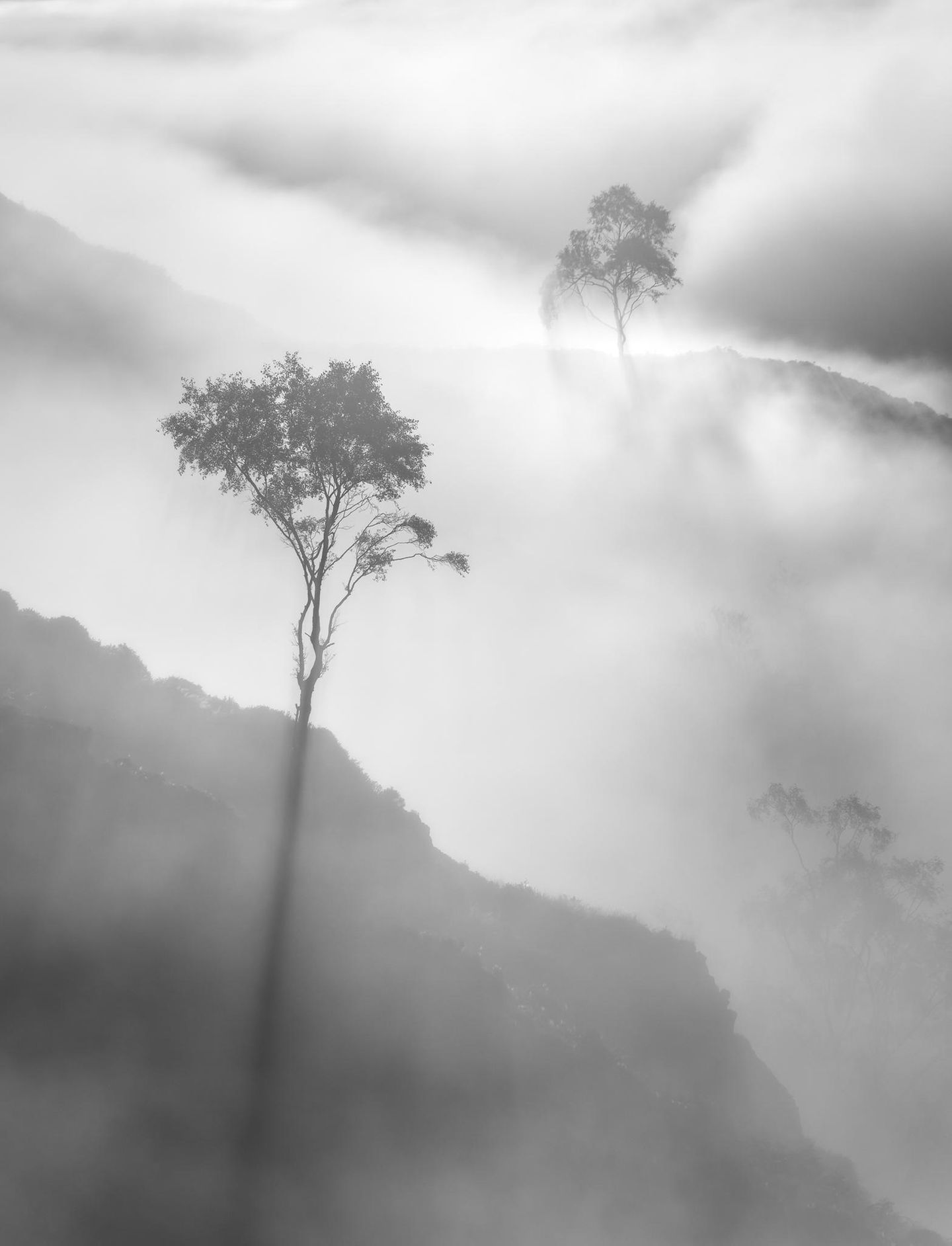 Natural Landscape Photography: Landschaft im Nebel