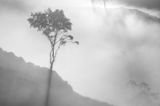 Natural Landscape Photography: Landschaft im Nebel