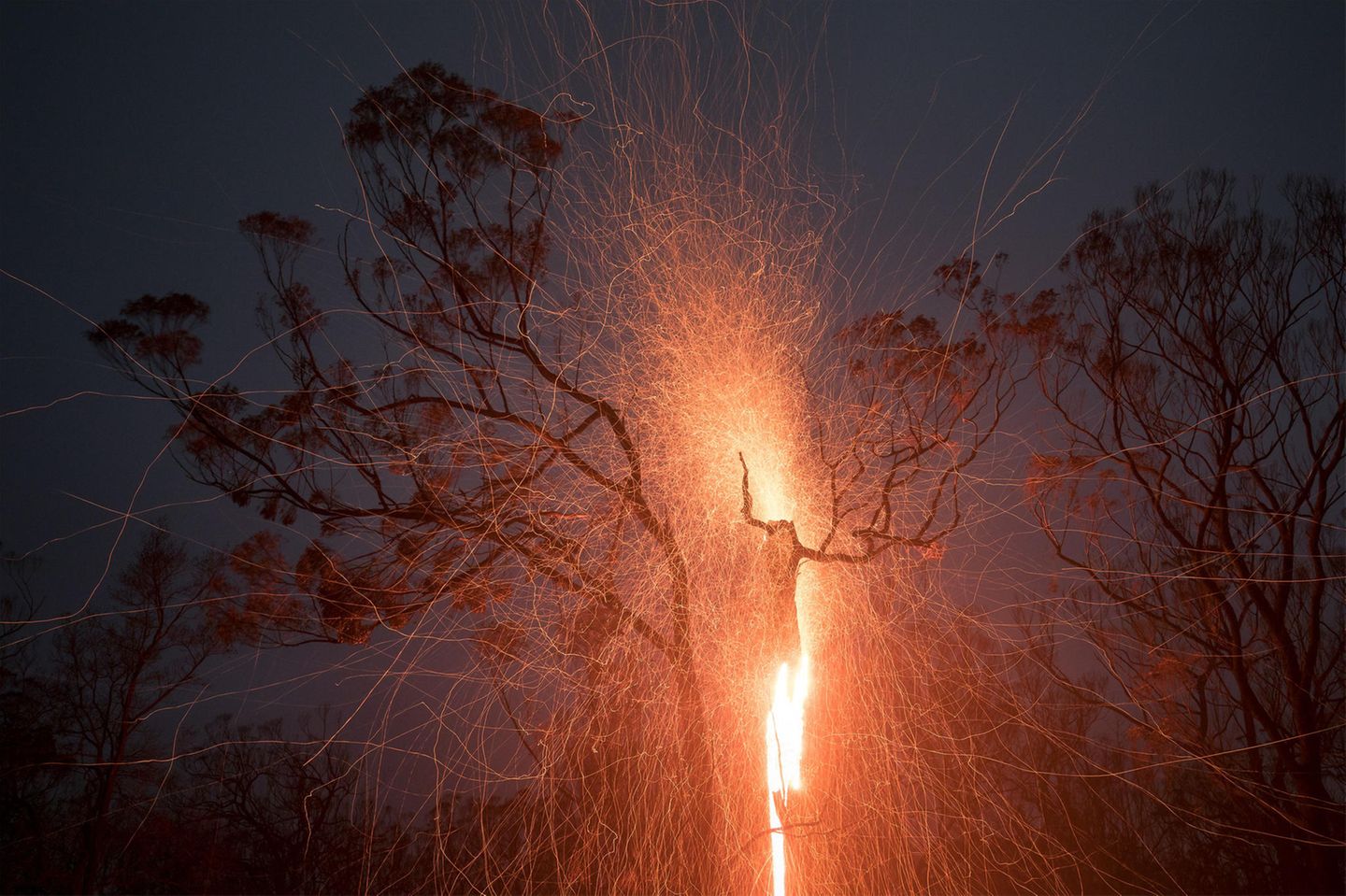 Natural Landscape Photography: brennender Baum