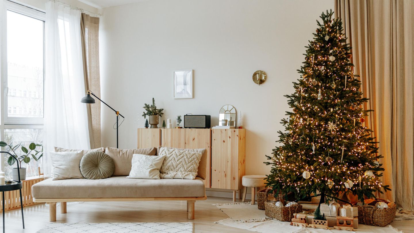 Weihnachtsbaum kaufen So findet ihr den richtigen Baum
