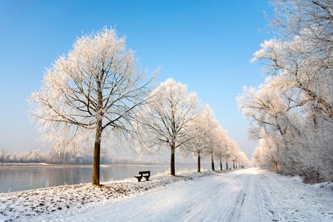 Winterlandschaft am Rhein