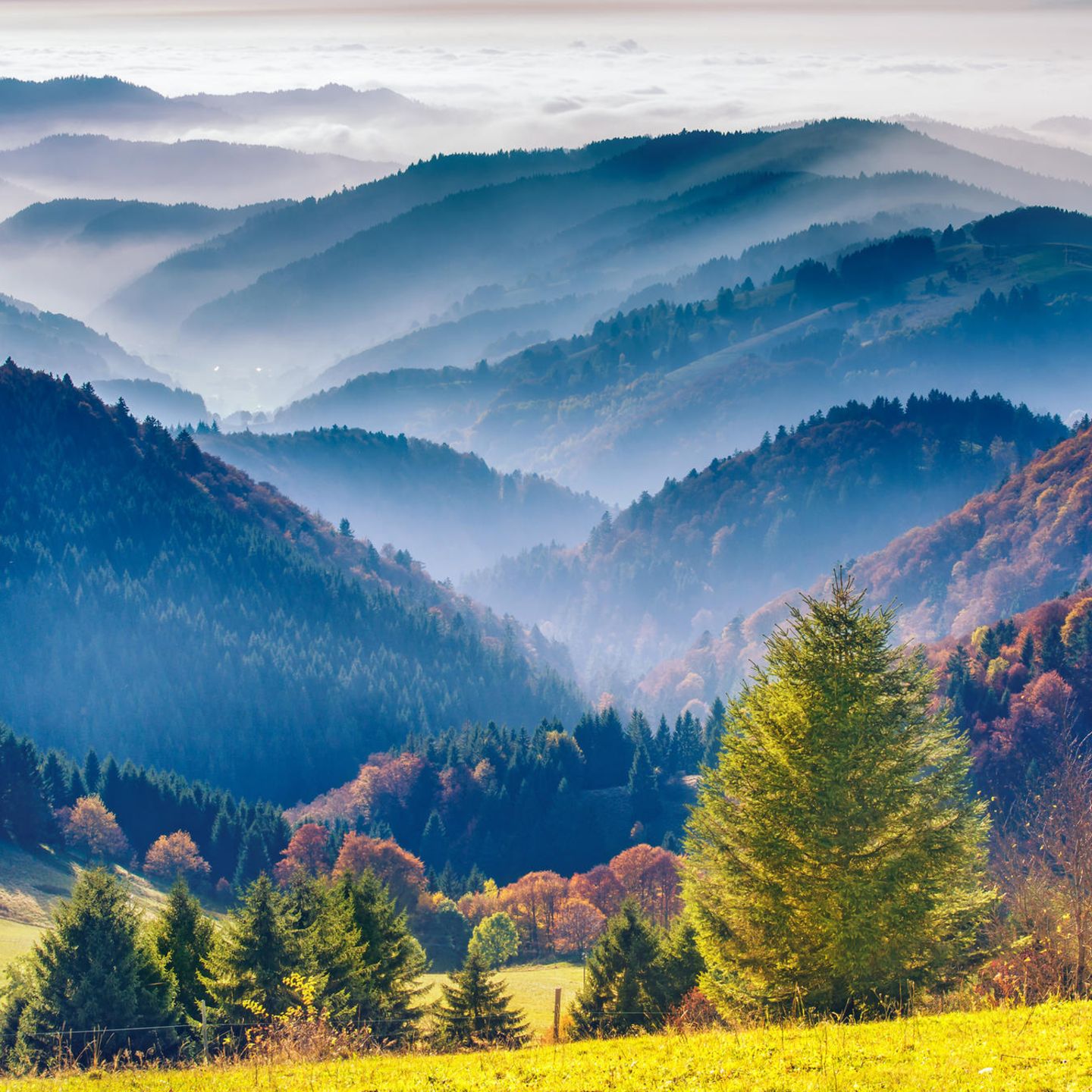 Beliebteste Sehenswürdigkeiten: Schwarzwald