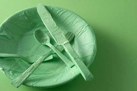 BRIGITTE Diät 2023: Teller und Besteck eingepackt in grünem Papier auf grünem Hintergrund