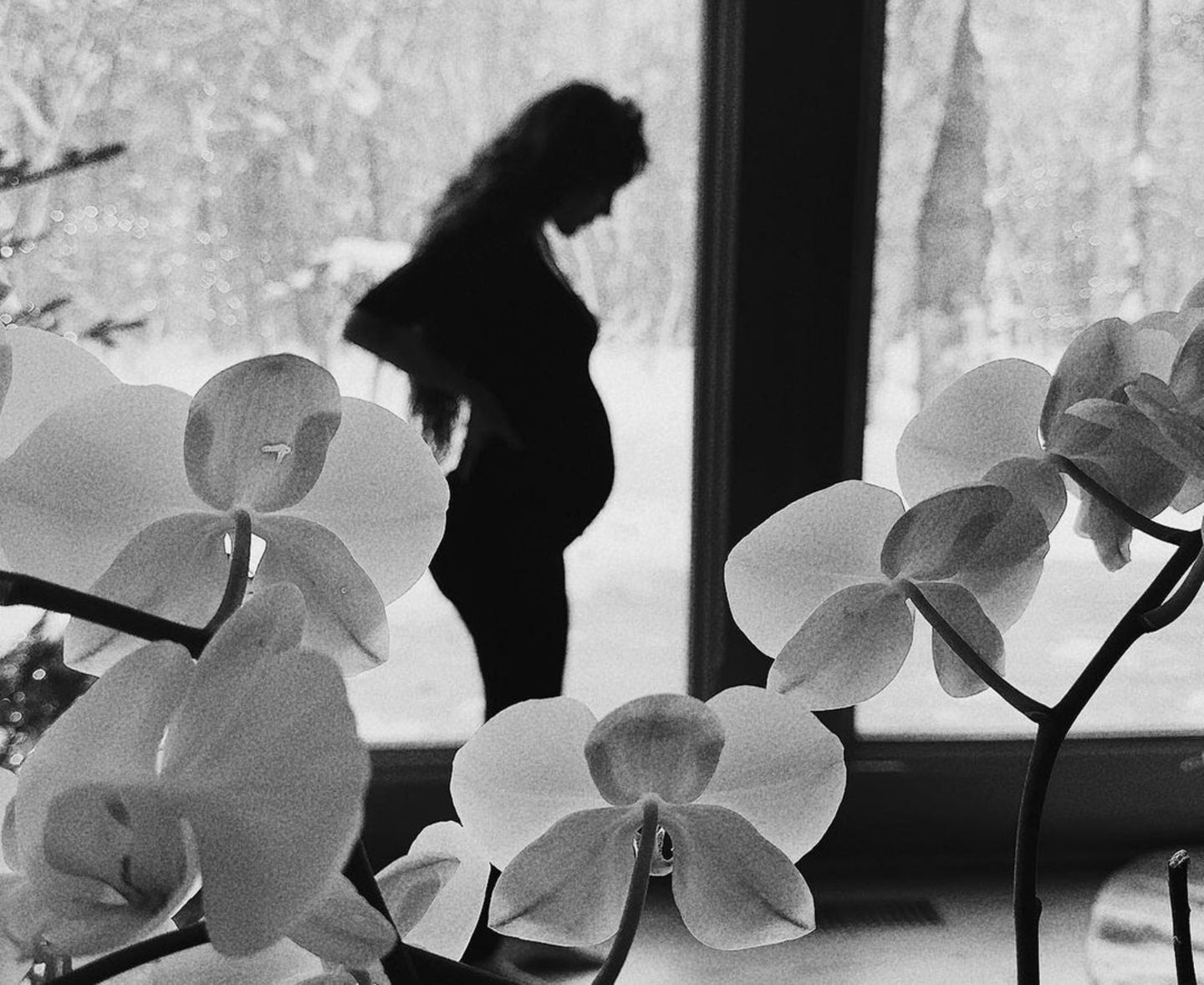 Es ist Rumer Willis, die Tochter der Hollywoodstars Demi Moore und Bruce Willis, die ihre Schwangerschaft am 21. Dezember mit diesem Schwarz-Weiß-Foto auf Instagram verkündet. Die 34-Jährige steht im Profil, ihre langen Haare fallen ihr über den Rücken. Die Babykugel ist nicht zu übersehen! 