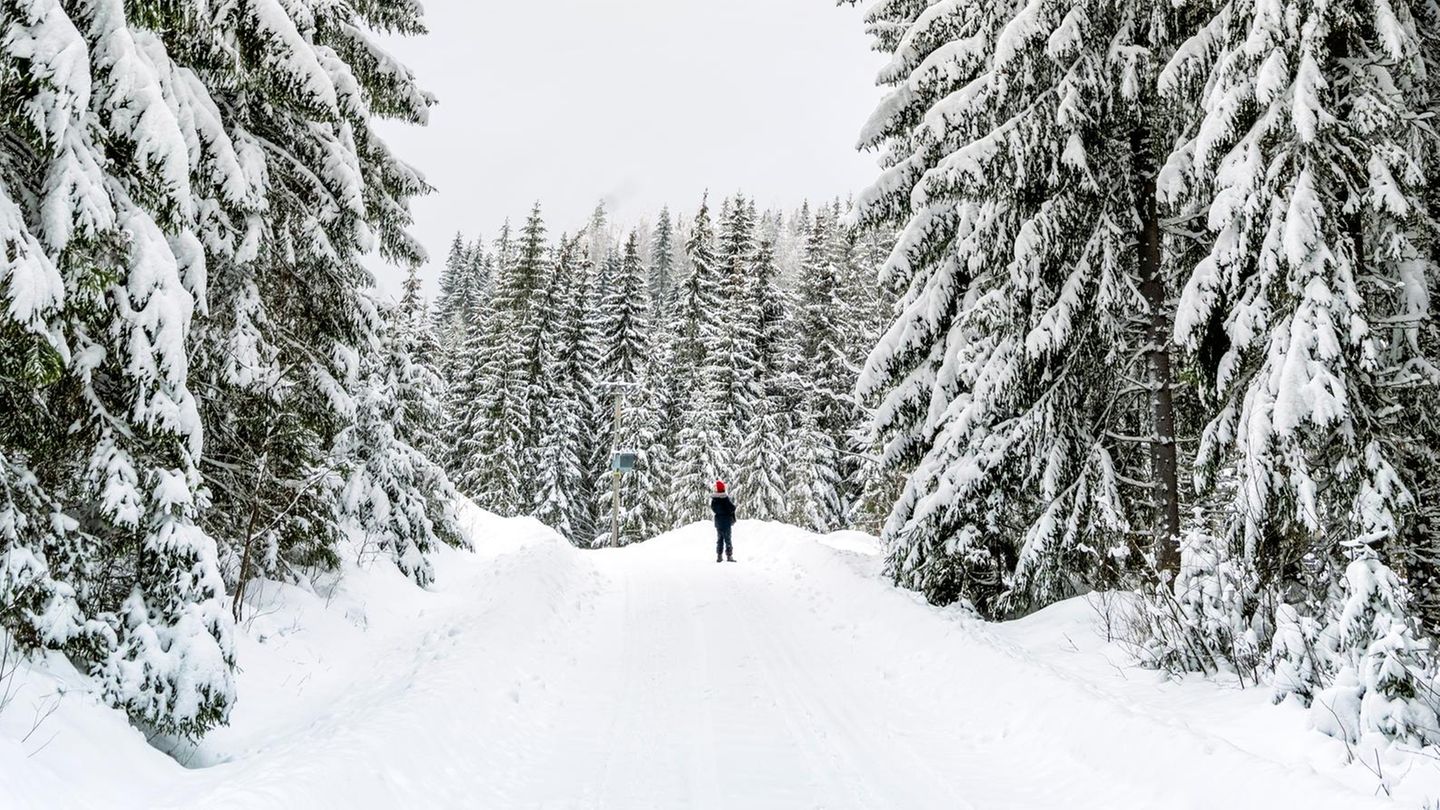 Finnland-Wo-ich-noch-echten-Winter-gefunden-habe