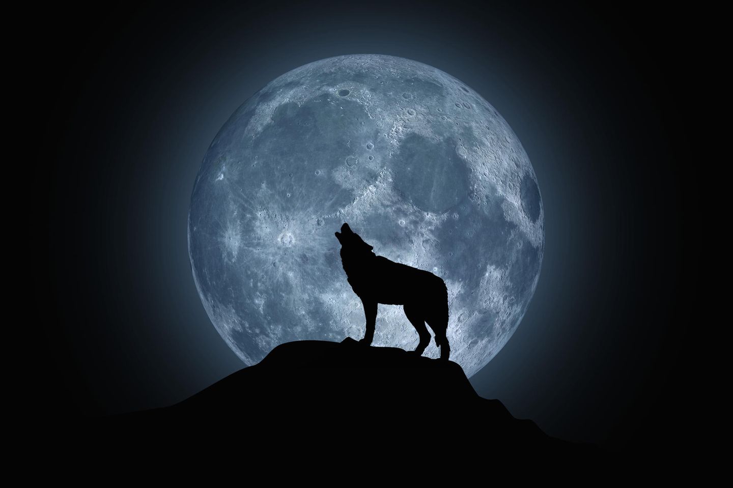 Horoskop: Emotional empfänglicher: Der Wolfsmond steht bevor