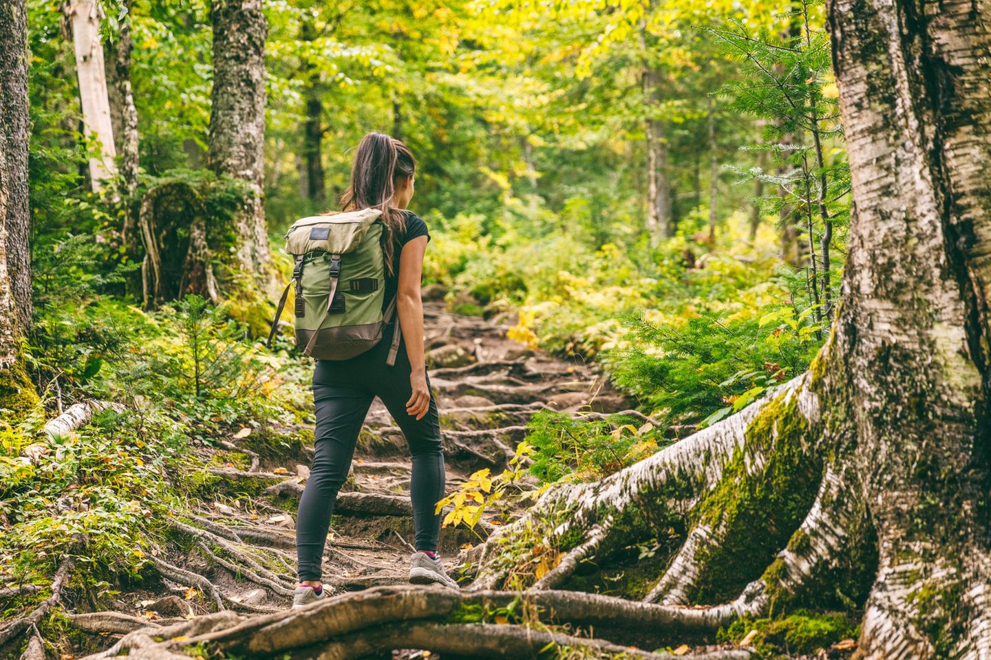 Karina Lübke: eine junge Frau mit Rucksack wandert im Wald