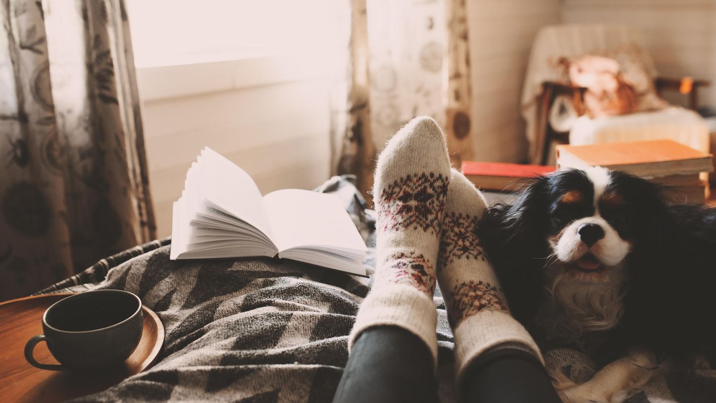 Comfort Reads: 5 Bücher, um dem Winterblues zu entfliehen