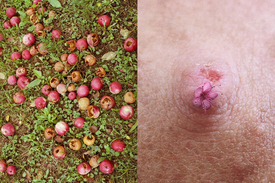 Mutterschaft: Äpfel und Brustwarze