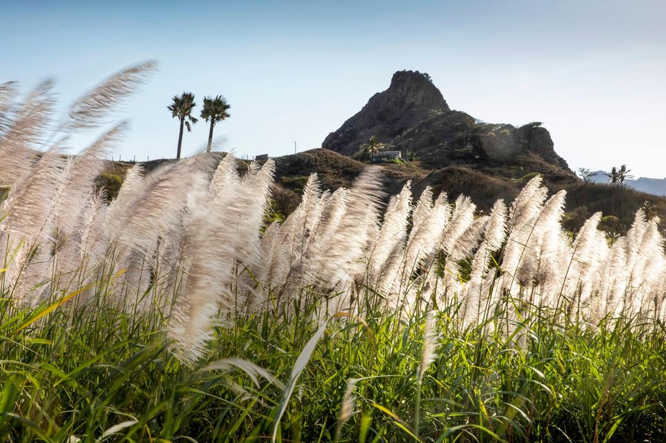 Santo Antao: Die große Wanderlust