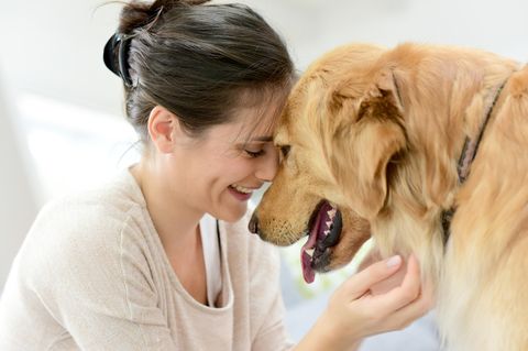 Therapiehund Keegan: Eine dunkelhaarige Frau lehnt ihre Stirn an die eines Golden Retrievers