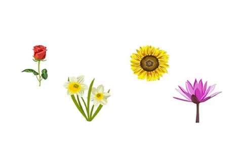 Rose, Narzisse, Sonnenblume und Lilie