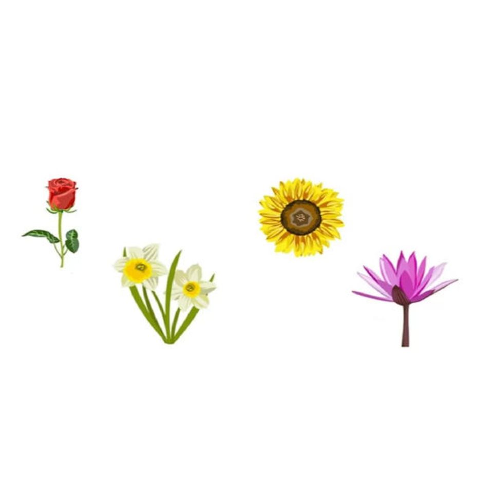 Rose, Narzisse, Sonnenblume und Lilie