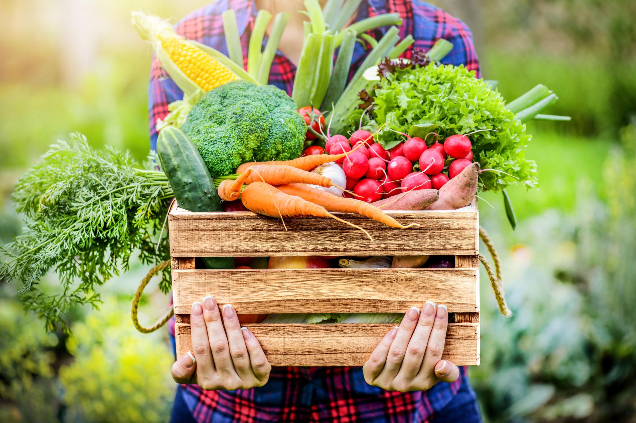 Korb einkauf markt frau gemüse gesund küche vegi' Bio-Täschchen