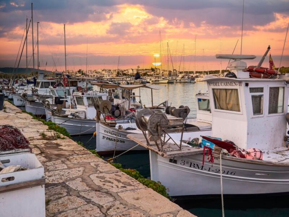 Mallorca vom Wasser aus: Hafen