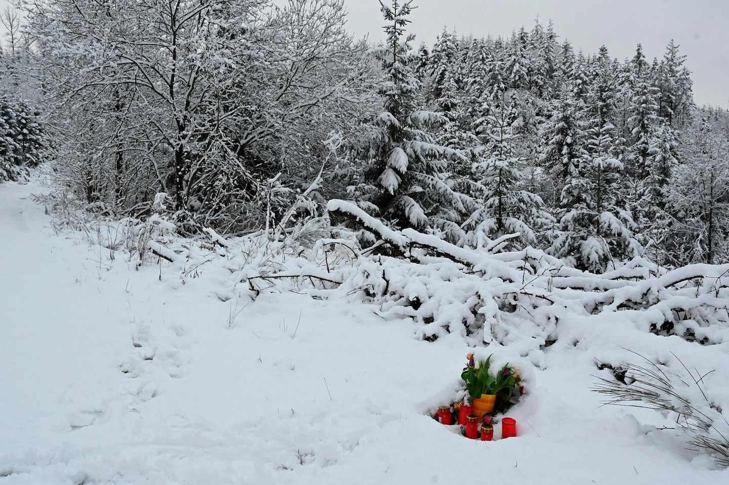 Im Schnee stehen rote Grablichter und ein Strauch