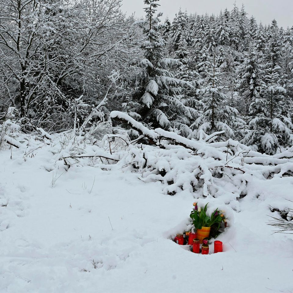 Im Schnee stehen rote Grablichter und ein Strauch
