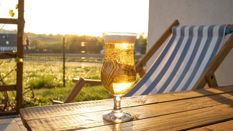 GartenSaison 2023 So wird Bier zum Wundermittel für deine Pflanzen