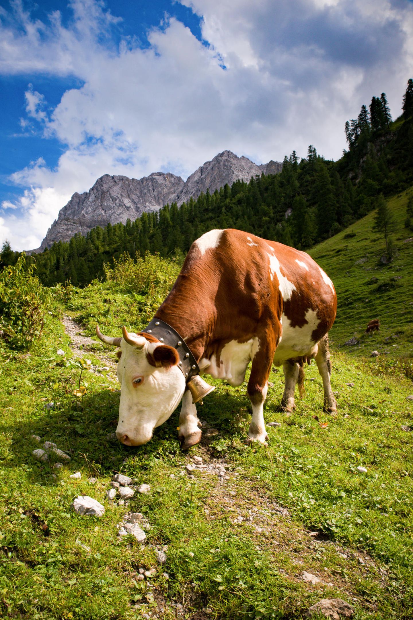 Frühlingssehnsucht: Südtirol