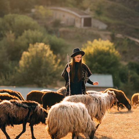 Schafskälte: Eine Frau mit Schafen